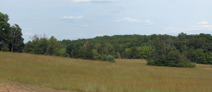 The fields on Chinn Ridge where the 13th MA fought.