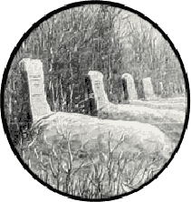 illustration of graves on a battlefield