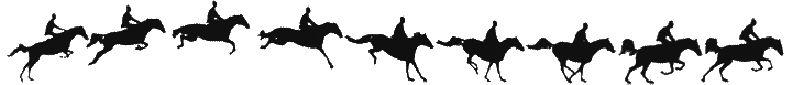 leaping horse graphic