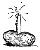 Charles Reed sketch of a candle in a potato