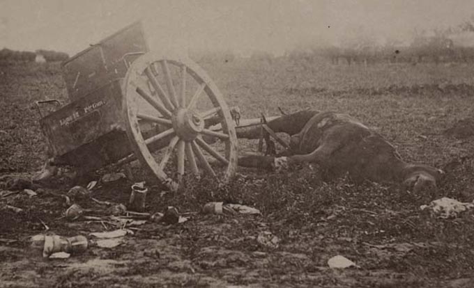 Gettysburg, Limber & Dead Mule