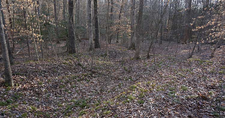 photo, confederate earthworks north of turnpike