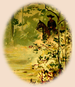 Illustration of rider in the woods