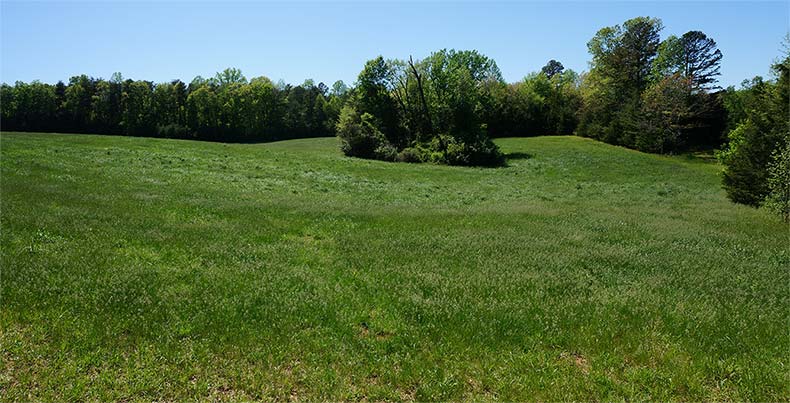 Picture of the Higgerson Farm
