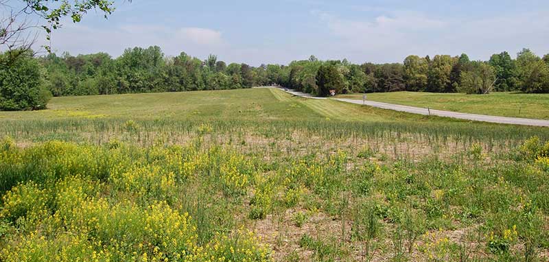 The Fields at Spotsylvania Robinson's Division Charged